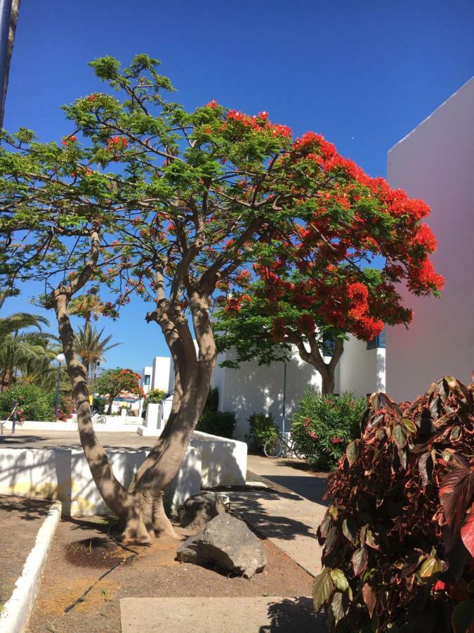 Los Barqueros Corralejo "Beach Front - Town Centre" Exterior foto